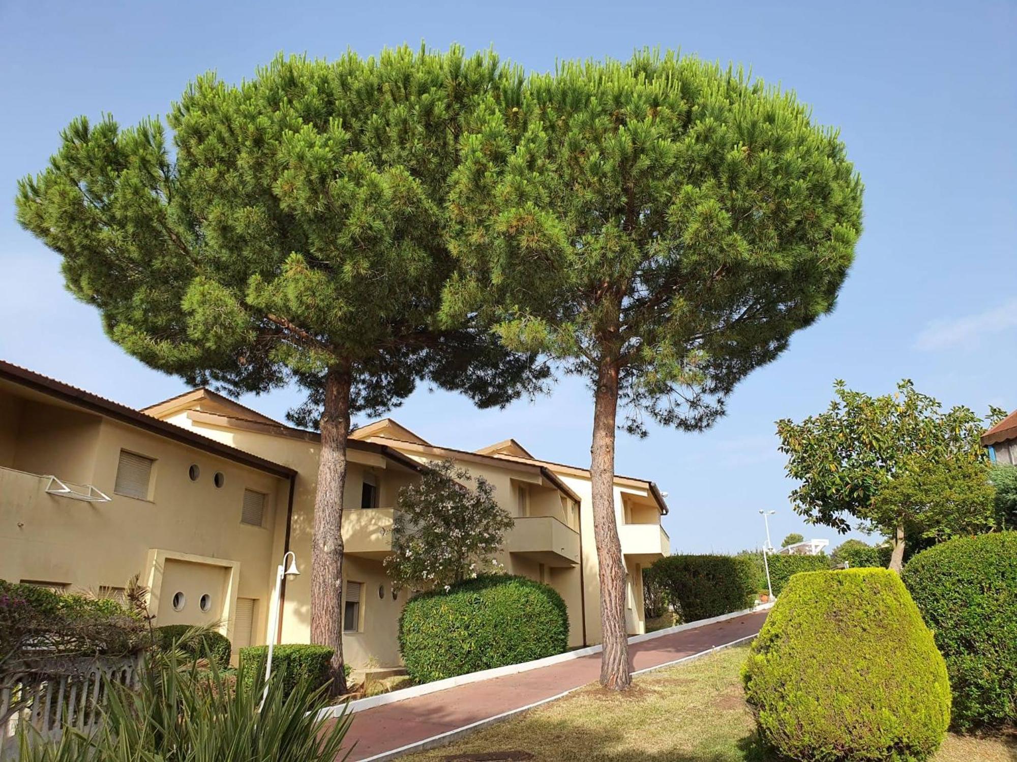 Villaggio Hotel Club La Pace Tropea Esterno foto